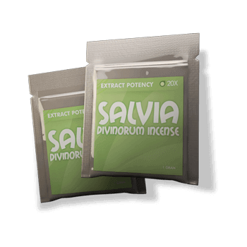 Salvia Pack 20x and 10x
